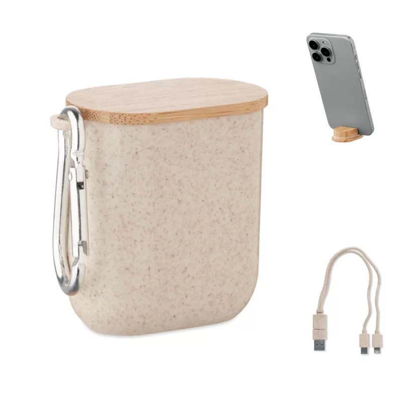Set de câbles dans un boîtier, Beige