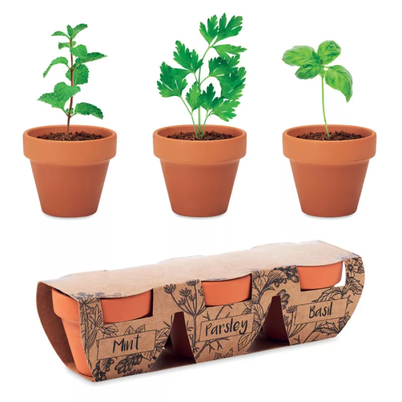 3 pots en terre, Bois